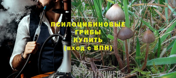 меф Заречный