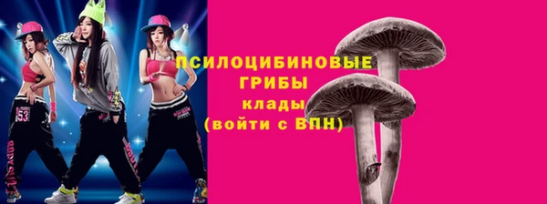 бутират Заполярный