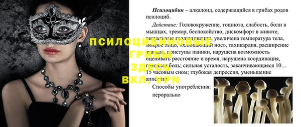 бутират Заполярный